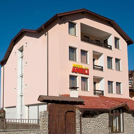 Aneli Hotel Bansko Bagian luar foto