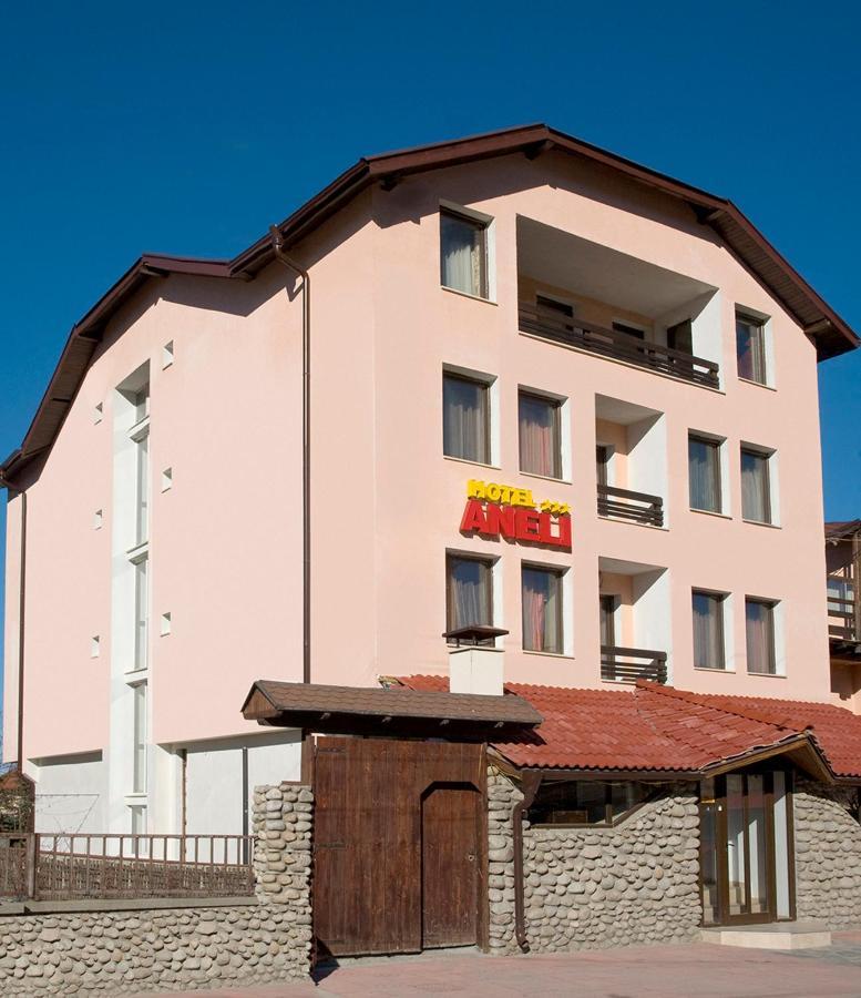 Aneli Hotel Bansko Bagian luar foto